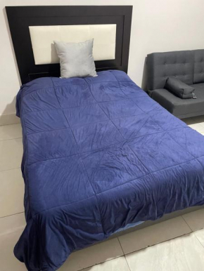 Departamento Céntrico Alameda